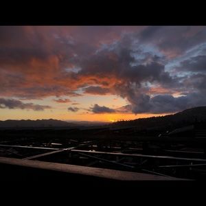 Meet your Posher, Sevana